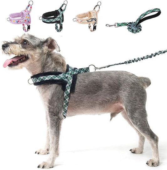 BEAUTYZOO No Pull Small Dog Harness and Leash Set, Soft Puppy Vest Harness with Handle Escape Proof & Easy Walk, Lightweight Dog Winter Harness Chest Adjustable for Girl Boy Dogs Max 7 lbs, Green XXS