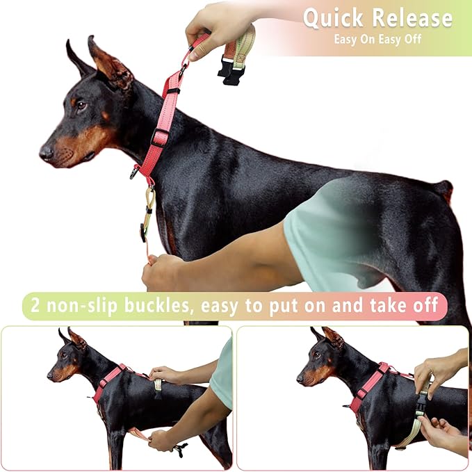 Roses&Poetry Puppy Dog Harness and Leash Set, No Pull Dog Harness Adjustable Reflective, Dog Halter Harnesses Comfort Padded Handle, Pet Harness for Training Outdoor Walking（Pink-XS