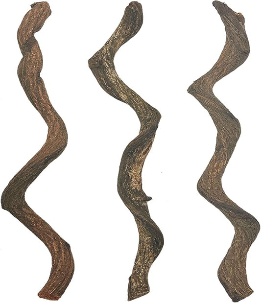 BNOSDM Reptile Forest Climbing Branch Decor Crested Gecko Climb Wood Natural Branches Tree for Snake Frog Chameleon Spider Bearded Dragon Terrarium Habitat Tank Accessories,3PCS