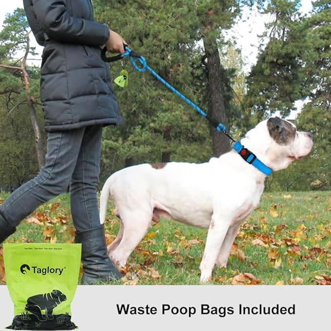 Taglory Rope Dog Leash 5 FT with Comfortable Padded Handle, Highly Reflective Threads Leash and Anti-Tangle Clip for Walking Medium Large Dogs, 1/2 inch, Blue