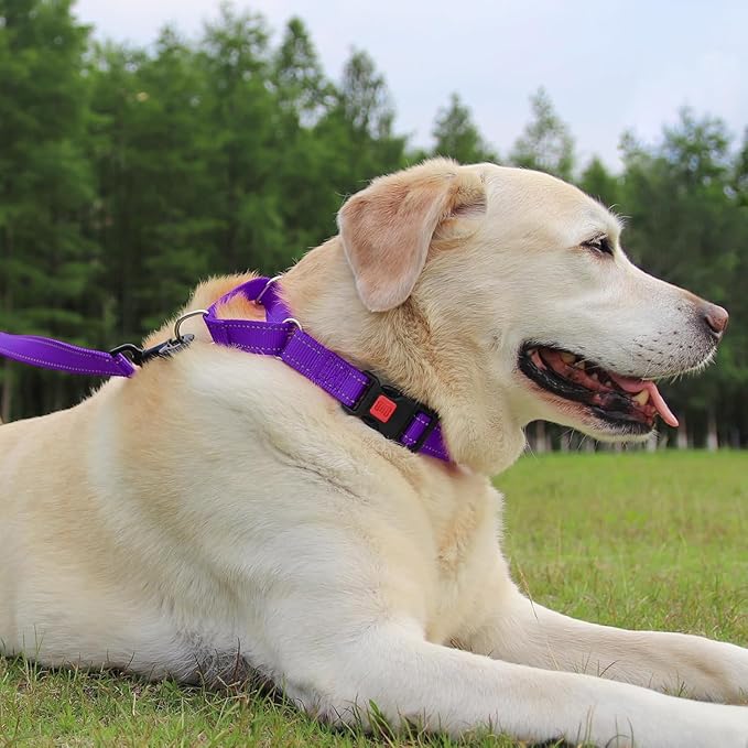 Joytale Martingale Collar for Dogs, Reflective Heavy Duty for Safety, Quick Release Buckle, Adjustable Nylon Collars for Large Dogs Walking Training, Purple,L