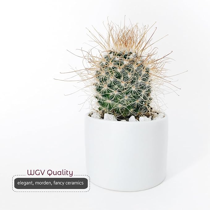 WGVI Matte White Ceramic Cylinder Vase Width 6.5" Height 6", Flower Arrangements, Candle Holder, Terrarium Planter Pot, Storage Container Organizer, Pen Brush Holder, Modern Table top Decor, 6 Pc