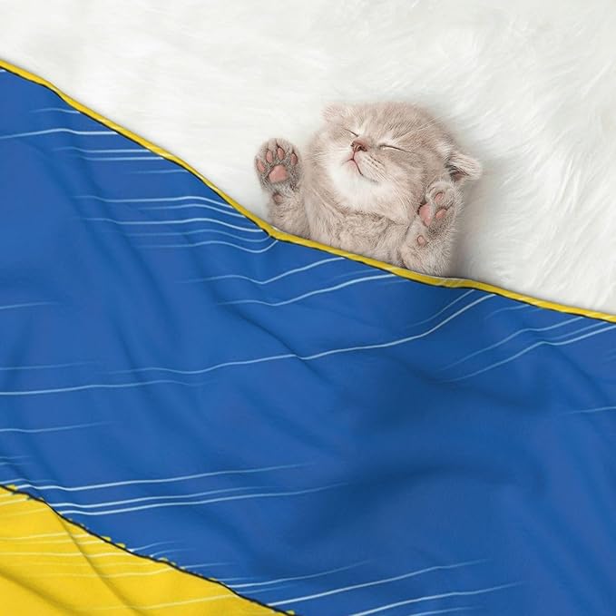 Pet Blanket for Car Rides Vet Visits, Abstract Ukraine Flag, Two Sided Reversible Plush Design with Bumpy Dot Side Offers Comfort Home Piece On Go Travel