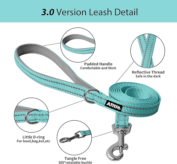 AIITLE Comfortable Dog Harness and Leash Set for Walking - Step in Vest Harness,Reflective Bands, Adjustable No Pull Puppy Essentials, for Small Dogs and House Cats Turquoise XS