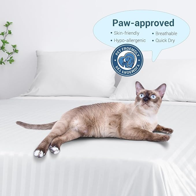 Elegear Double-Sided Arc-Chill® 3.0 Cooling Blanket for Hot Sleepers, King | Q-Max>0.5 Cooling Fabric, Absorbs Heat to Keep Body Cool, Lightweight Summer Blankets for Night Sweats & Menopause, 108"x90"