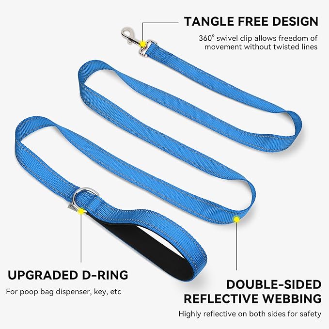 Joytale Dog Leash, 4 FT Double-Sided Reflective, Padded Handle Nylon Heavy Duty Leashes for Medium & Large Dogs Walking, SkyBlue
