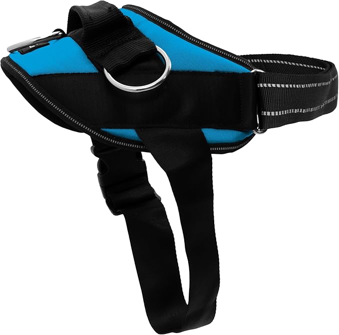 ShawnCo Essential Dog Harness, No-Pull Pet Vest with 3 Leash Clips, No Choke, Reflective, Adjustable and Padded, for Easy Walking and Training for Small, Medium and Large Dogs (Oceanic Blue, XS)