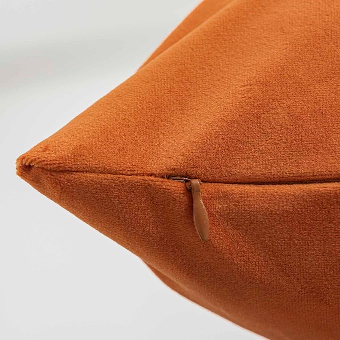 20x20 Decorative Velvet Throw Pillow Covers Set of 2 for Couch,Burnt Orange | Soft Cushion Cases with Invisible Zipper for Modern Sofa Bed Living Room Bedroom Home Decor Halloween