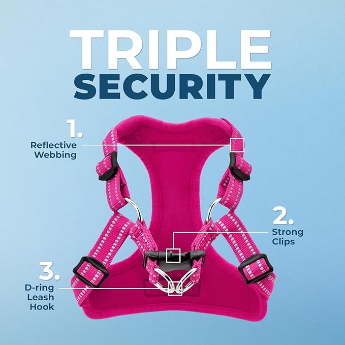 Best Pet Supplies Voyager Adjustable Step-in Flex Breathable Mesh Dog Harness for Small Medium Large Dogs Leash Set (Fuchsia), XL