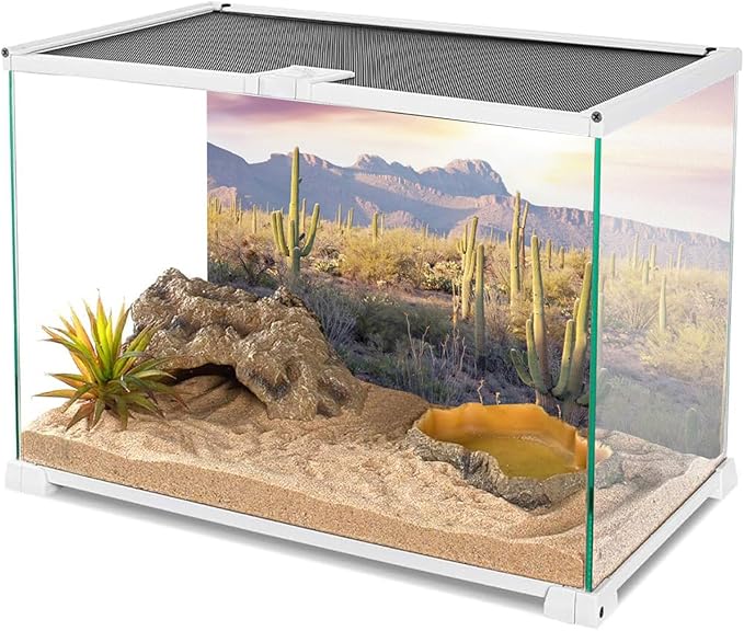 AWERT Reptile Habitat Background Blue Sky Oasis Mountain Cactus Sun and Desert Terrarium Background 36x18 inches