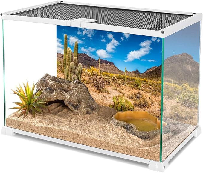 AWERT 24x16 inches Reptile Habitat Background Blue Sky Oasis Cactus Desert Terrarium Background Vinyl