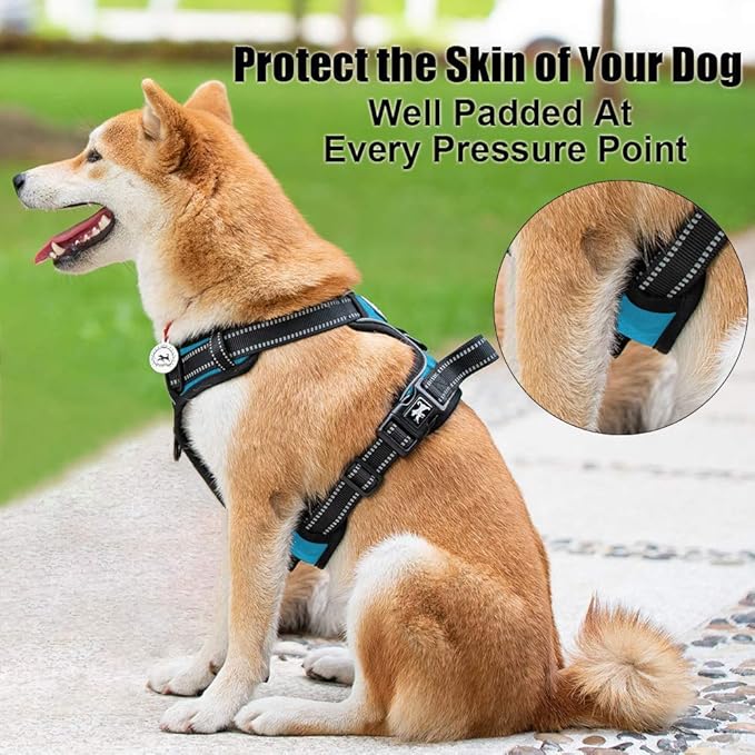 PoyPet No Pull Dog Harness, Reflective Comfortable Vest Harness with Front & Back 2 Leash Attachments and Easy Control Handle Adjustable Soft Padded Pet Vest for Small to Large Dogs (Blue,XS)