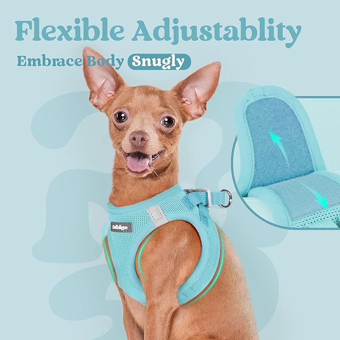 rabbitgoo Small Dog Harness, Step-in Soft Mesh Puppy Vest with Safety Buckle, Breathable Reflective Pet Harness for Large Dogs, Mint Blue XXL