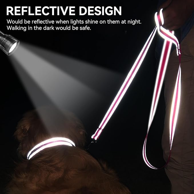 Joytale Dog Leash, 6 FT Double-Sided Reflective, Padded Handle Nylon Heavy Duty Leashes for Small Dogs Walking, Hotpink
