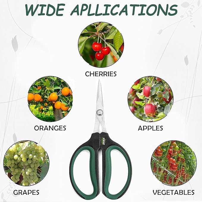Hydroponic 2-Pack Bonsai Scissors and Plant Trimming Shears Set - Stainless Steel Pruning Shears for Indoor Gardening, Succulent Harvest, and Precision Plant Care