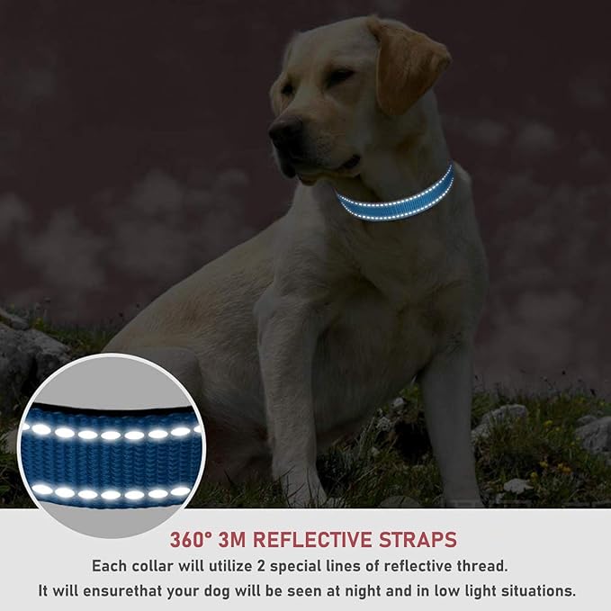 Reflective Dog Collar with Buckle Adjustable Safety Nylon Collars for Small Medium Large Dogs, Blue M