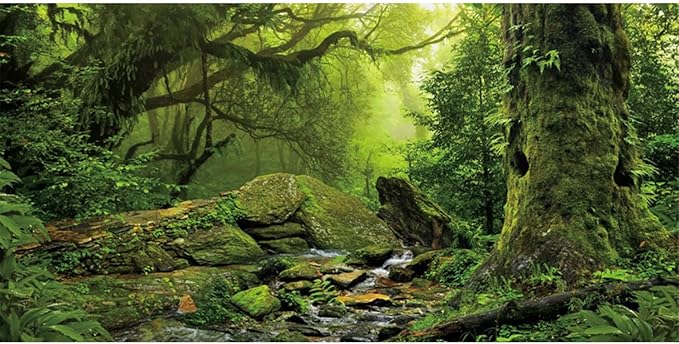 AWERT Tropical Forest Terrarium Background Stream Green Huge Tree Reptile Habitat Background Foggy Rainforest Aquarium Background 48x20 inches Durable Polyester Background