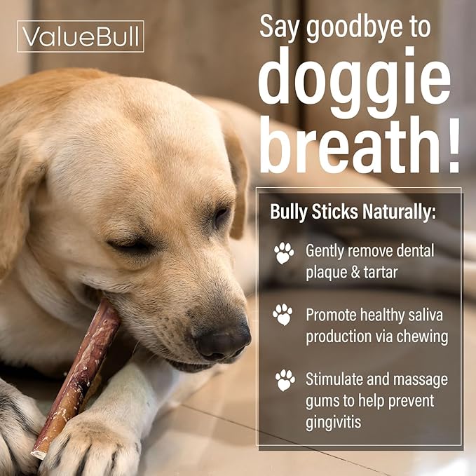 ValueBull Bully Sticks for Dogs, Medium 12 Inch, 400 Count Wholesale Pack - All Natural, Grass Fed, Single Ingredient, Long Lasting Dog Treats