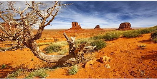 AWERT 48x20 inches Reptile Habitat Background Orange Desert Terrarium Background Durable Polyester Background