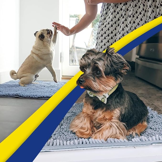 Muddy Mat® | Super Absorbent Door Mat Indoor, Microfiber Quick Dry Chenille Entryway Rug, Non-Slip Front Door Mat, Indoor Mats for Entryway, Machine Washable Pet Rug, Baby Blue 24"X36"