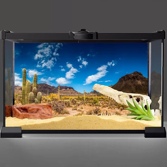 AWERT 48x24 inches Reptile Habitat Background Blue Sky Oasis Cactus Desert Terrarium Background Vinyl