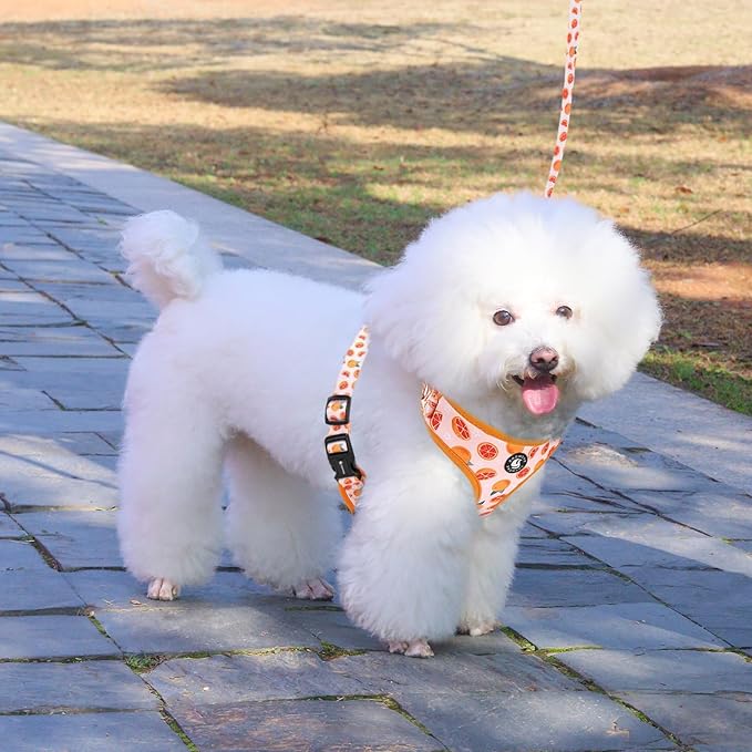Dog Cat Harness and Leash Set, Puppia Soft Mesh Padded and Adjustable Puppy Vest Cute Dog Clothes Escape Proof Easy Walk Pet Accessories (Grapefruit, L (Neck 15.7"-21"; Chest 19.6"-28.3"))