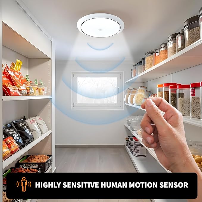 Motion Sensor LED Ceiling Light, 9 Inch Flush Mount Ceiling Light 6500K Closet Lights, Motion Sensor Light Indoor for Stair Closet Porch Hallway Laundry (12W)