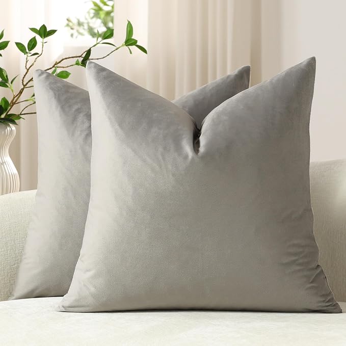 Throw Pillow Covers 18x18 Light-Grey: Pack of 2 Cozy Soft Velvet Square Modern Luxury Decorative Throw Pillow Cases for Sofa Couch Living Room Bed Home Decor