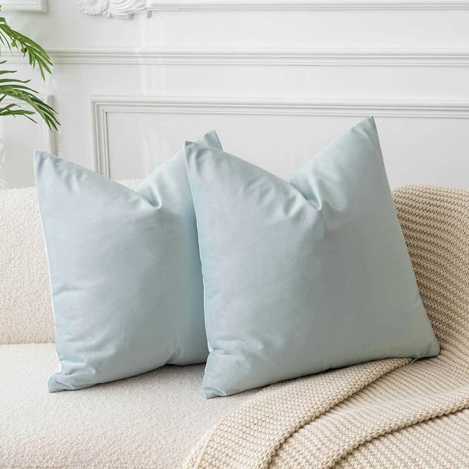 JUSPURBET Couch Pillow Covers Set of 2 Decorative 22x22 Velvet Throw Pillow Covers Cases for Living Room Bedroom Home Decor Soft Cushion Covers Cases with Hidden Zipper for Sofa Bed,Powder Blue
