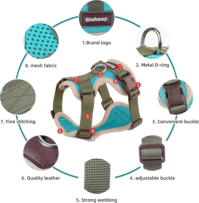 Small Dog Harness and Leash Set, Breathable Mesh Puppy Harness, Adjustable Dog Harness for Small Medium Large Dogs, No-Pull Pet Harness for Daily Walking (Lakeblue, Small)