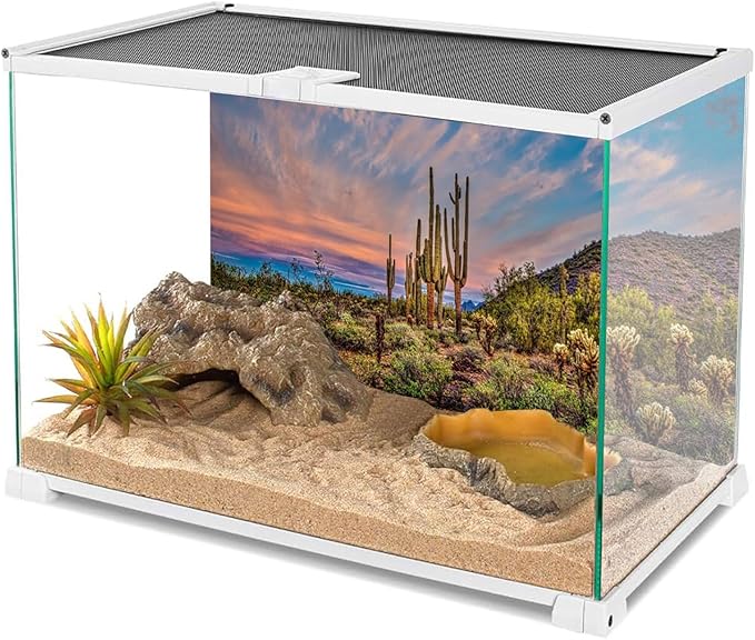 AWERT 30x12 inches Terrarium Background Blue Sky Cloud Huge Cactus Oasis Gobi Reptile Habitat Background Vinyl