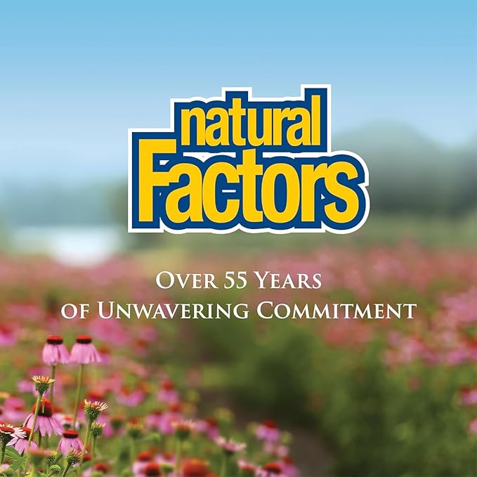 Natural Factors, Echinamide, Echinacea Supplement for Immune and Wellness Support, 60 Softgels