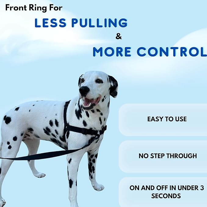 ShawnCo Dream Walk No-Pull Dog Harness- Adjustable, Comfortable, Easy to Use Pet Halter to Help Stop Pulling for Small, Medium and Large Dogs- Art Pattern Designs (White Sharks, S)