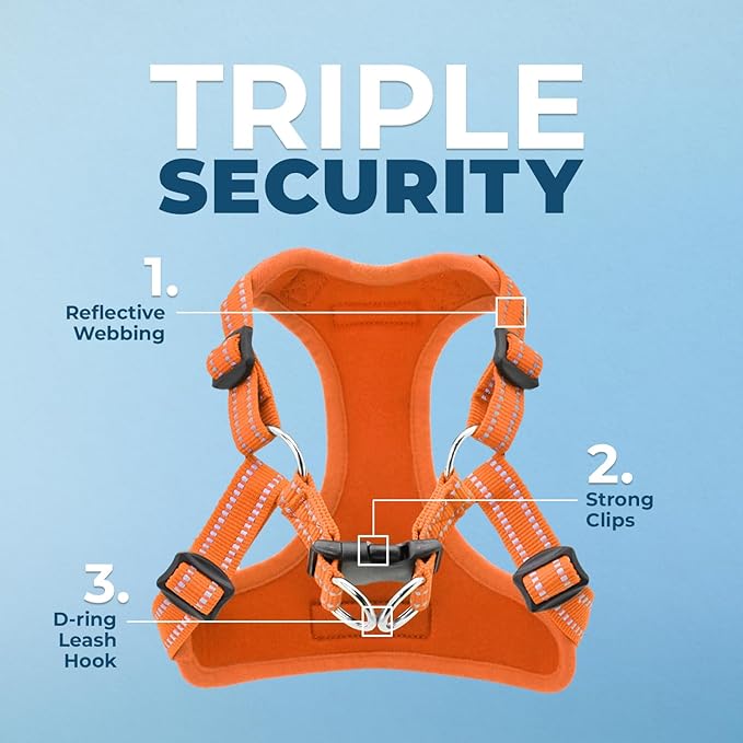 Best Pet Supplies Voyager Adjustable Step-in Flex Breathable Mesh Dog Harness for Small Medium Large Dogs (Orange), XS