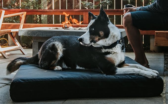 K9 Ballistics Tough Rip-Stop Orthopedic Rectangle Dog Bed Removable Washable Cover, Solid Orthopedic Foam for Size S Dogs 24"x18", Light Gray Velvet