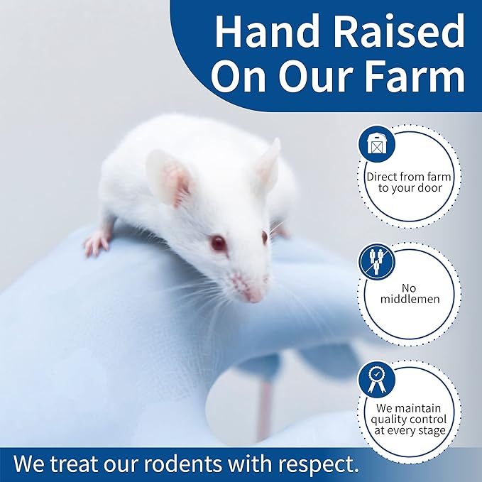 MiceDirect 80 Frozen Rat Combo Pack 40 Rat Weanlings and 40 Rat Small Feeders Snake Food for Juvenile Ball Pythons and Monitors (3.5-6 in)(Pack of 80)(3000 Grams Min)
