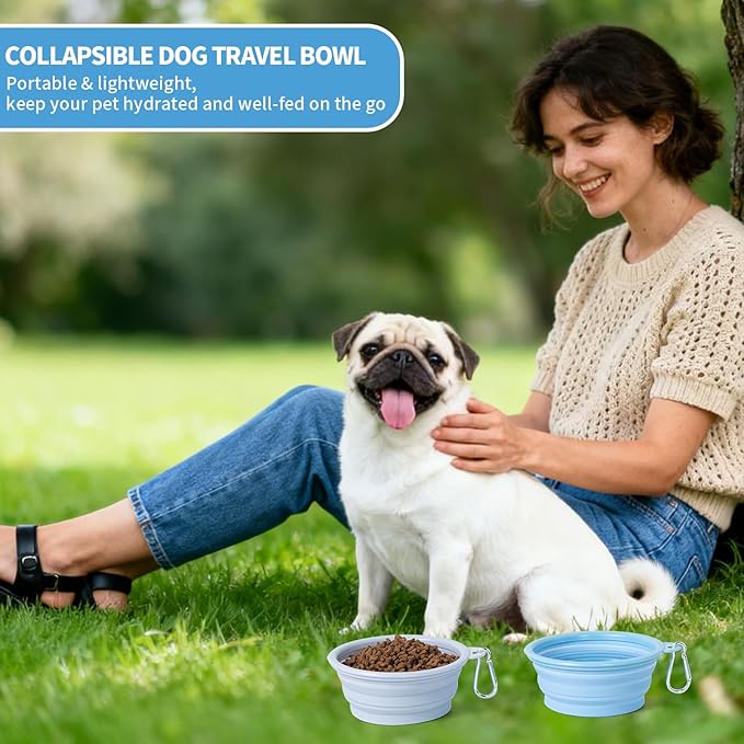 SLSON Collapsible Dog Bowl, 2Pack Macaron Color Pet Travel Bowls Silicone Foldable Water Feeder Dish for Small to Large Dogs Cat Walking Hiking Camping (Macaron Blue and Light Grey, Small)