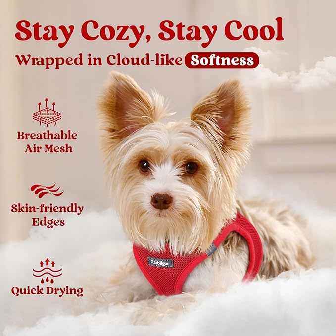 rabbitgoo Small Dog Harness, Step-in Soft Mesh Puppy Vest with Safety Buckle, Breathable Reflective Pet Harness for Small Sized Dogs, Red S