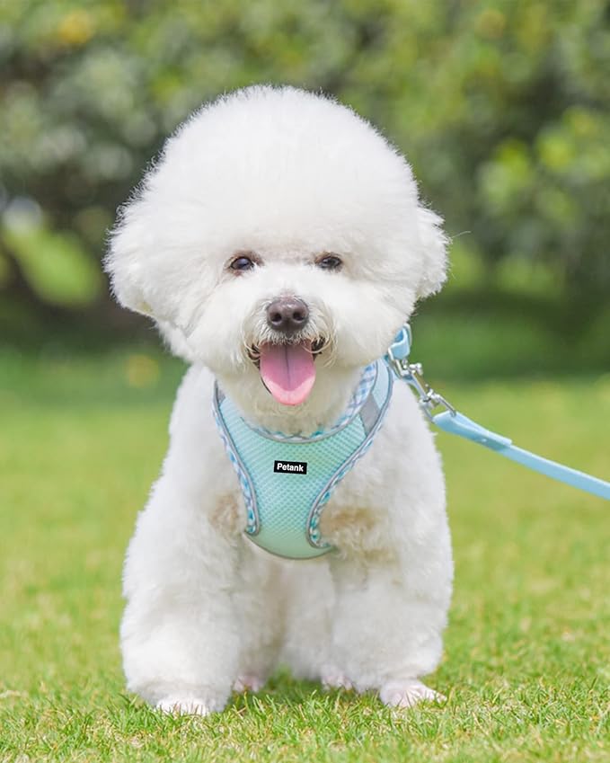 Petank Dog Harness for Small Medium Dogs No Pull, Puppy Harness and Leash Set, Step in Dog Harness for Walking, Running, Training, Small Dog Vest(Light Blue, XS)