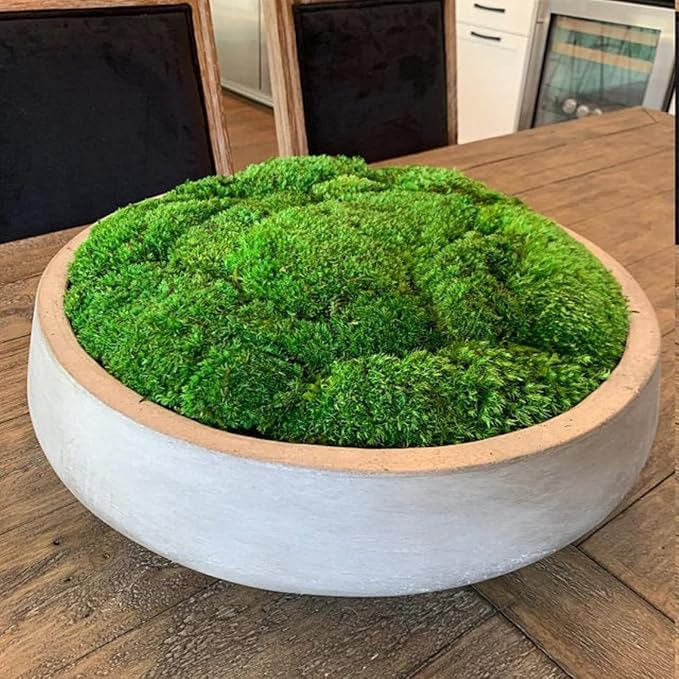 Preserved Pole Moss Pillow Bun Cushion Natural Green Decorative Real Natural Green DIY Kit Terrariums Gardenning Art Wall Decor Florist Decor Easter Table Decor Wedding(15.0 sq.ft., Green-B)