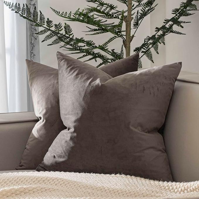 Throw Pillow Covers Set of 2 for Couch Bed Velvet Cushion Cover 14x14,Ash | Decorative Pillow Covers with Invisible Zipper for Sofa Living Room Bedroom Home Decor Modern