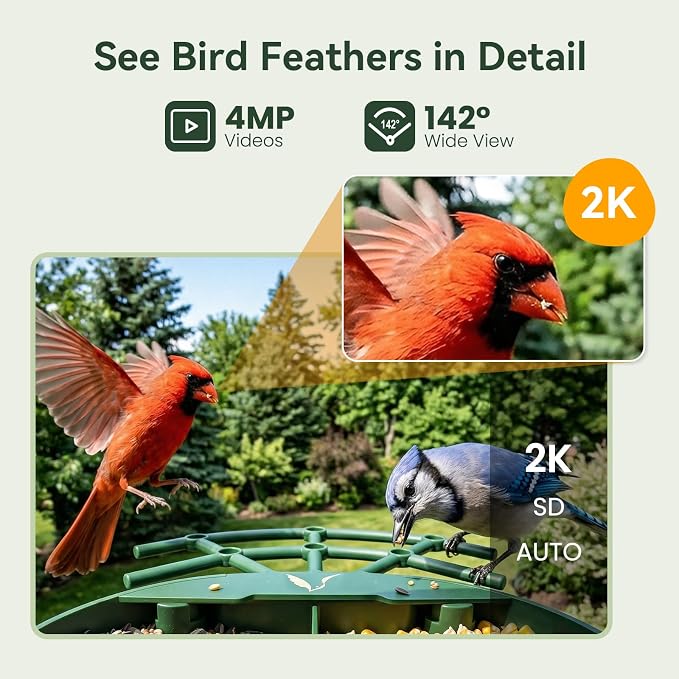 Smart Bird Feeder with Camera, AI Identify Birds Species, 2K HD Color Night Vision, IP65 Waterproof Solar Powered Bird Feeder with 142�� Wide Angle, Auto Capture & Real-Time Notifications, Ideal Gift