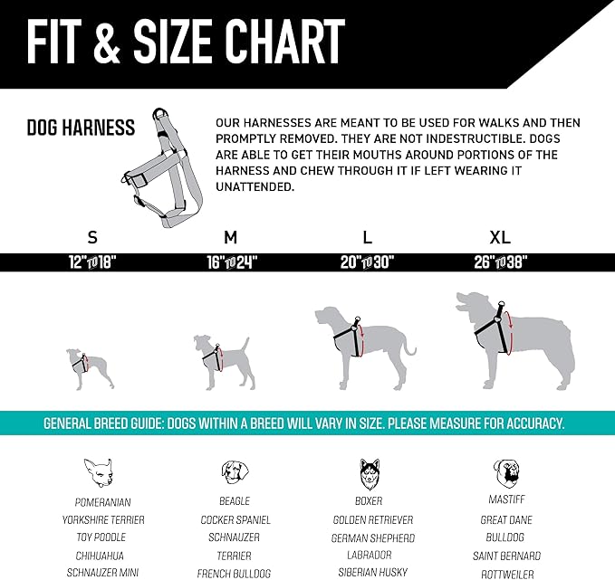 Wolfgang Heavy Duty Adjustable Dog Harness, Pull-Tested to Over 800 lbs for Walking & Training, Daydream Print, Large