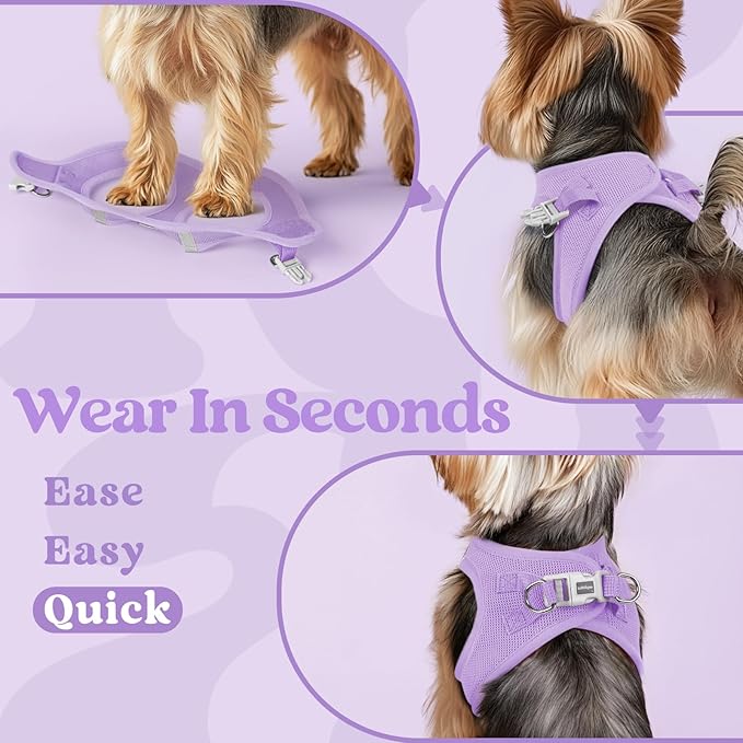 rabbitgoo Small Dog Harness, Step-in Soft Mesh Puppy Vest with Safety Buckle, Breathable Reflective Pet Harness for Extra Small Dogs, Light Purple XXXS