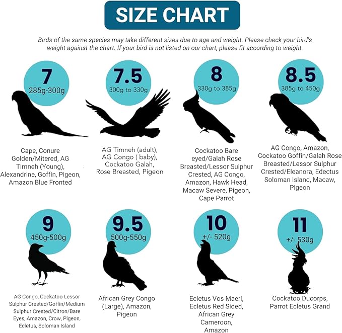 Bev's Bird Boutique Regular Flyper Adjustable Bird Diaper | Reusable, Washable Cloth | Comfort Fit for Parrot, Cockatiels, & Other Small Birds | Fashionable Avian Accessories, Navy & Red, Size 6