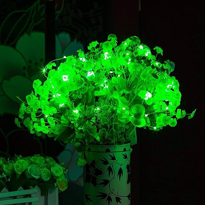 RUICHEN Silver Wire Fairy Lights Plug in 33 Ft 100 LED String with Spool, Green