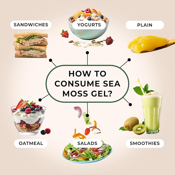 TrueSeaMoss Sea Moss Gel – Made in USA – Wildcrafted Seamoss, Fresh Fruits & Sea Vegetables – Lemon Pie, Pack of 5 (Labels may Vary)