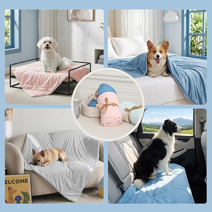 Soulbond Cooling Blanket for Medium Dogs - Q-MAX>0.45, Washable Cool Pet Cats Throw Blanket for Hot Weather, Self-Cooling Soft Dog Mat for Bed Crates Couch Sofa Cars(29"x40", Aqua Green)