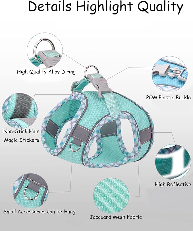 Petank Dog Harness for Small Medium Dogs No Pull, Puppy Harness and Leash Set, Step in Dog Harness for Walking, Running, Training, Small Dog Vest, Medium Dog Vest (Bule, M)