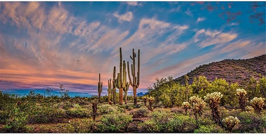 AWERT 30x12 inches Terrarium Background Blue Sky Cloud Huge Cactus Oasis Gobi Reptile Habitat Background Vinyl